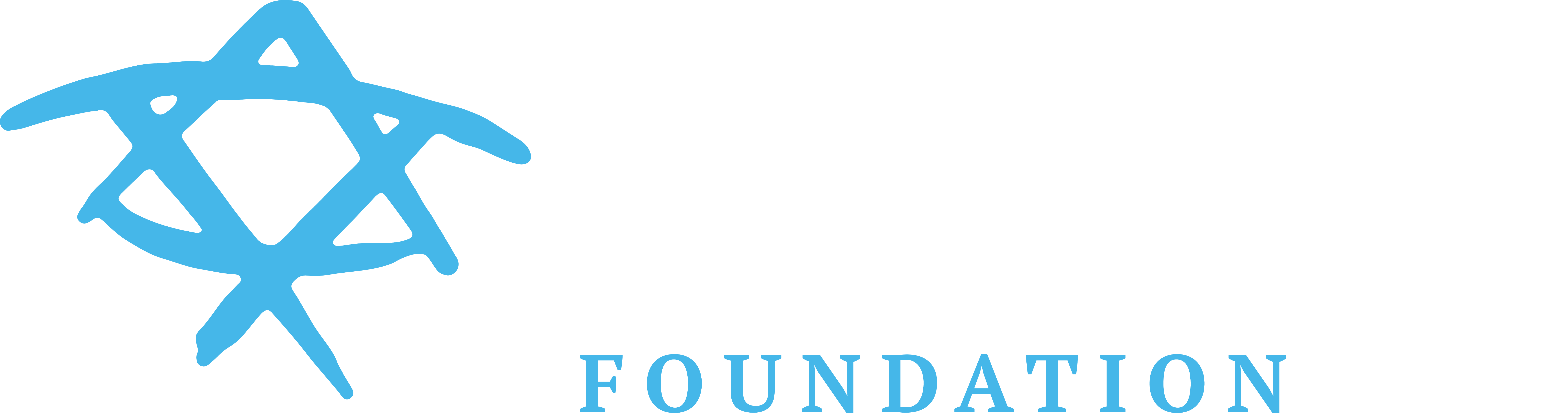 Birthright Israel Foundation